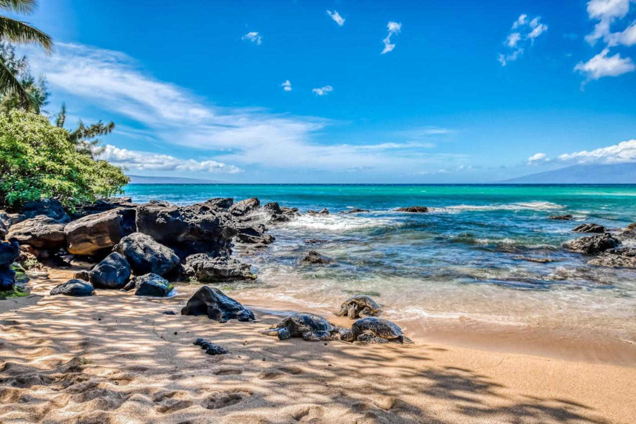 Mahina Surf Villa Kahana Szoba fotó